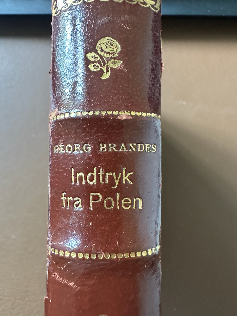 Indtryk fra Polen
