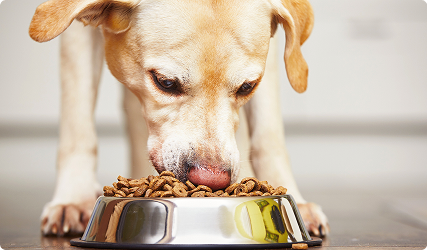 Quality you can trust