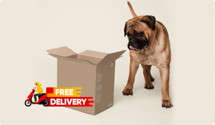 Free delivery over SAR 300