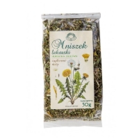 Natura Wita Mniszek Lekarski herbatka 50G