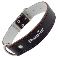 Obroża dla psa Champion skórzana na filcu - 30 x 1 cm - Brązowa