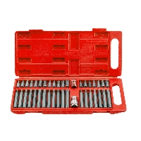 Zestaw bitów bity torx hex spline 40 sztuk pudełko SILVER