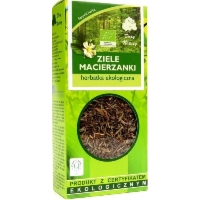 HERBATKA Z ZIELA MACIERZANKI BIO 25 g - DARY NATURY