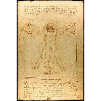Leonardo da Vinci Anatomia Człowieka Człowiek witruwiański - plakat