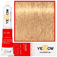 Alfaparf Yellow - trwała farba do włosów z aloesem i kiełkami pszenicy, 100ml 10,31 | Najjaśniejszy Złoty Popielaty Blond