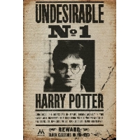 Harry Potter Poszukiwany - plakat