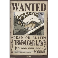 One Piece Wanted Trafalgar Law - plakat