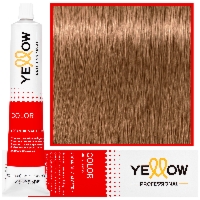 Alfaparf Yellow - trwała farba do włosów z aloesem i kiełkami pszenicy, 100ml 9,31 | Bardzo Jasny Złoty Popielaty Blond