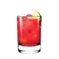 Kieliszki do wódki, shotów 50 ml 6 szt Glasmark