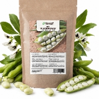 Bób Windsor Biały nasiona 500g - TORAF