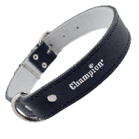 Obroża dla psa Champion skórzana na filcu - 40 x 1,4 cm - Czarna