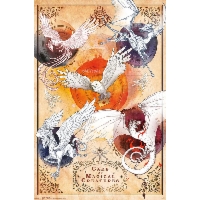 Harry Potter Magiczne Stworzenia - plakat