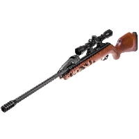 Karabinek wiatrówka Gamo Fast Shot 10X IGT GASRAM 4,5mm z lunetą 4x32 do17J (61100371-FSXIGT)