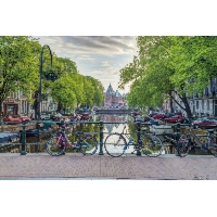 Amsterdam Rowery Assaf Frank - plakat