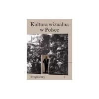 Kultura wizualna w Polsce. Fragmenty