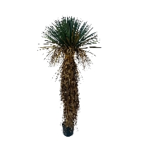 Sztuczna Yucca ROSTRATA L 150 cm Bizzotto