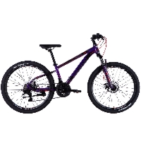 Rower górski 29" TOPVELO DISCOVERY TREK DD FR rama 19"