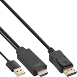 InLine 17161P video kabel adapter 1 m HDMI + USB DisplayPort Zwart