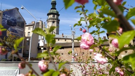 ВІДПОЧИНОК В ТРАВНІ В ГОТЕЛІ «ШВЕЙЦАРСЬКИЙ»