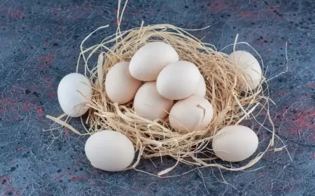 Həkim Gündə Neçə Yumurta Yeməyin Zərərsiz Olduğunu Açıqladı