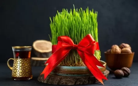 Novruz Bayramınız Mübarək – Mediahub.az-dan Təbrik