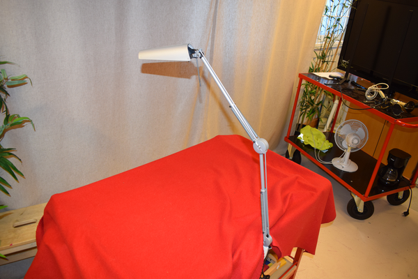 18403 Skrivbordslampa