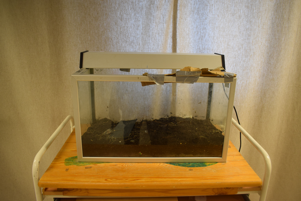18091 Terrarium 