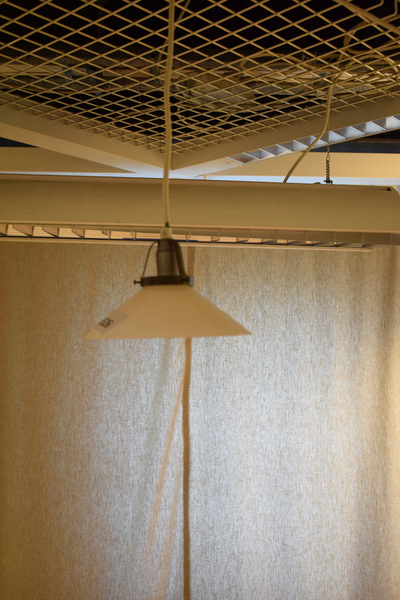 18526 Lampa