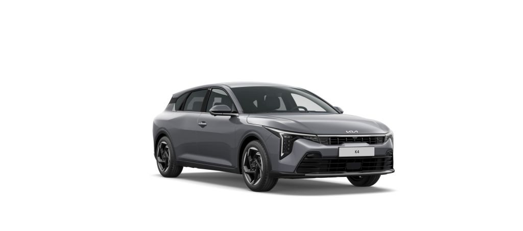 Steel Gray (KLG)