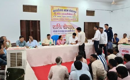 कलेक्टर की ग्राम पंचायत काजली खेड़ा में रात्रि चौपाल