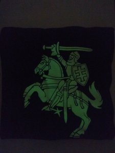 Tamsoje šviečiantys marškinėliai Vytis