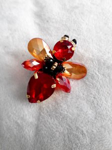 Raudona musytė sagė