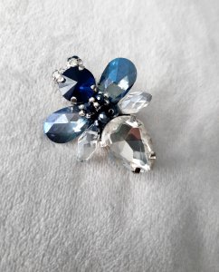 Balta/mėlyna musytė sagė