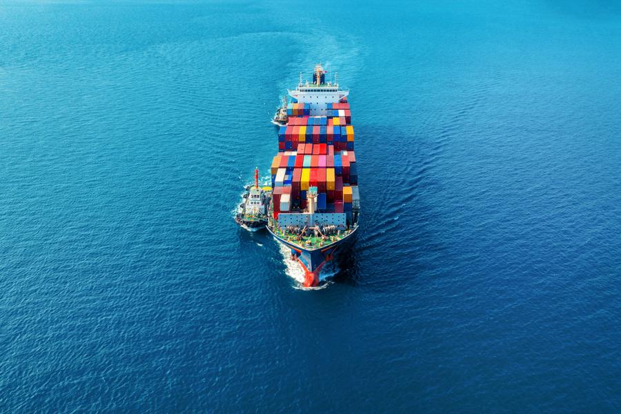   Exploring the World of Sea Freight Logistics