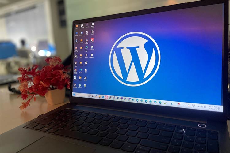 how-to-guide-your-clients-to-the-best-wordpress-solutions-—-speckyboy