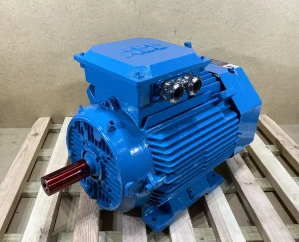 silnik elektryczny 22kW 2952obr. 3fazowy ABB IE2