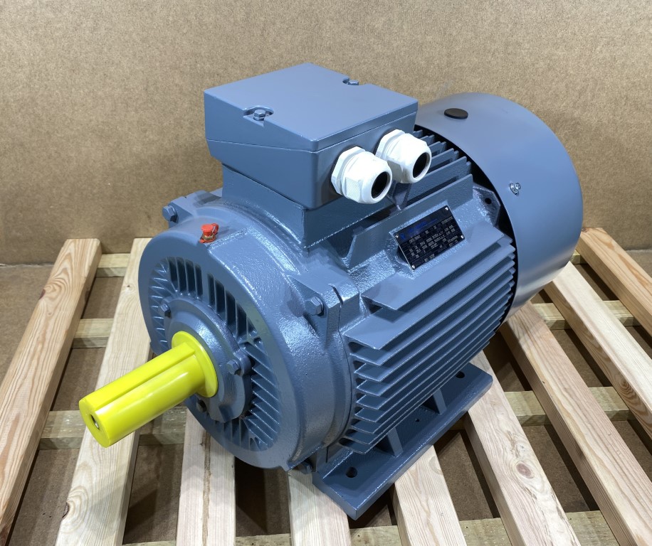 silnik elektryczny 30kW 2900obr. 3fazowy 200B3 OMT