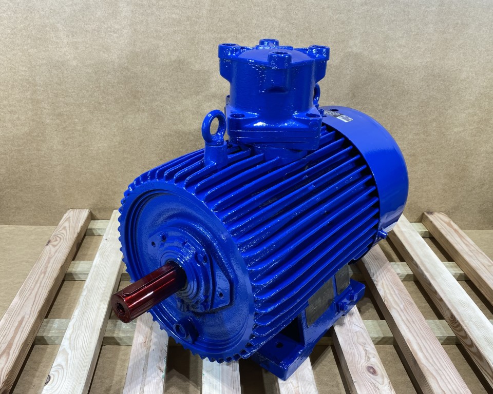 silnik elektryczny 22kW 2940obr. 3fazowy CELMA Ex