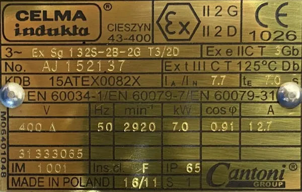 Silnik elektryczny 7kW 2920obr. 3fazowy INDUKTA - zdjęcie 2