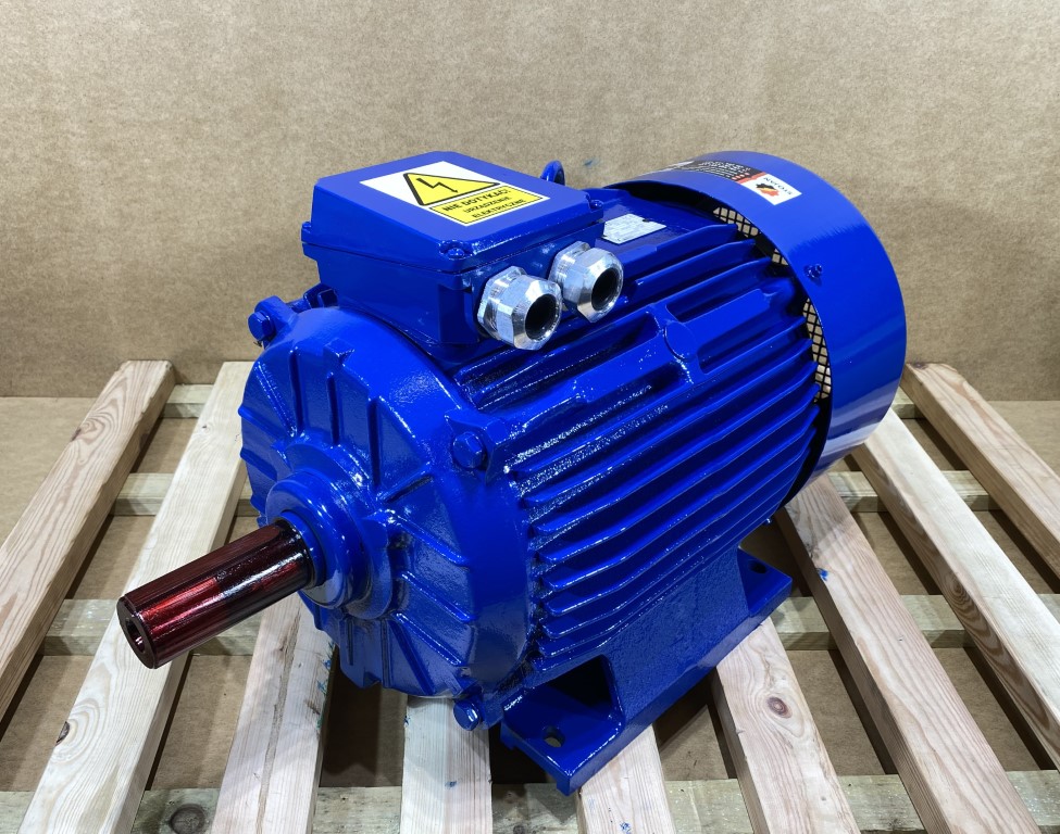 silnik elektryczny 22kW 2945obr. INDUKTA IE2