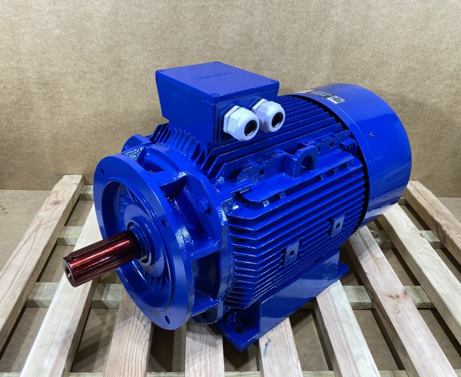 silnik elektryczny 22kW 1460obr. 3fazowy SIEMENS