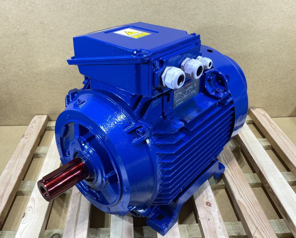 Silnik elektryczny 30kW 2940obr. 3fazowy