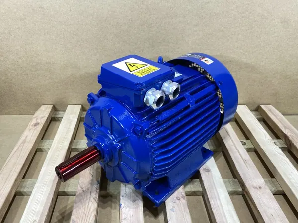 Silnik elektryczny 18,5kW 2930obr. 3fazowy INDUKTA - zdjęcie 1