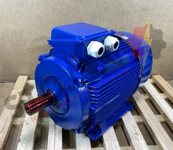 Silnik elektryczny 37kW 2940obr. 3fazowy VEM - zdjęcie 1