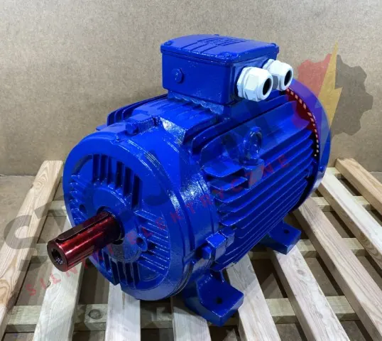 Silnik elektryczny 22kW 970obr. 3fazowy WEG - zdjęcie 1