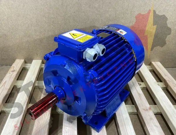 Silnik elektryczny 22kW 2945obr. 3fazowy CELMA - zdjęcie 1