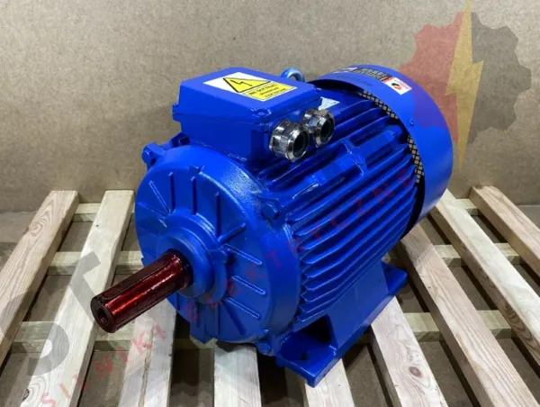 Silnik elektryczny 22kW 1460obr. 3fazowy INDUKTA IE2 - zdjęcie 1