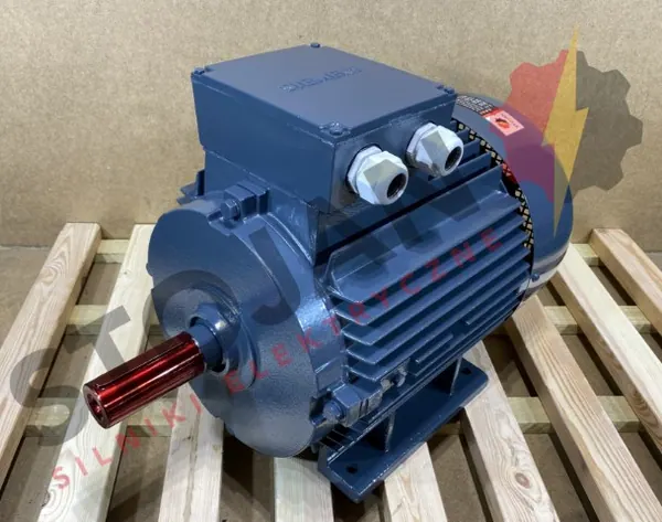 Silnik elektryczny 22kW 2935obr. 3fazowy SIEMENS - zdjęcie 1