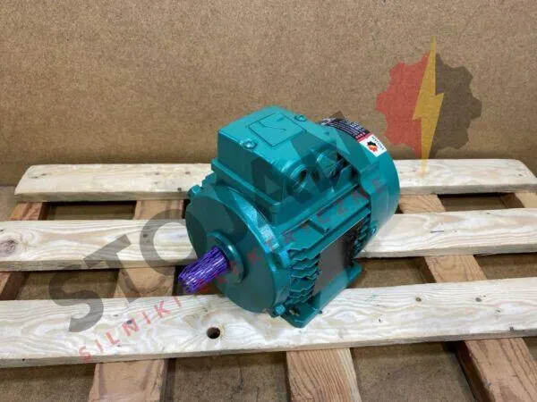 Silnik elektryczny 0,75kW 2890obr. 3fazowy IE3 (z) - zdjęcie 1