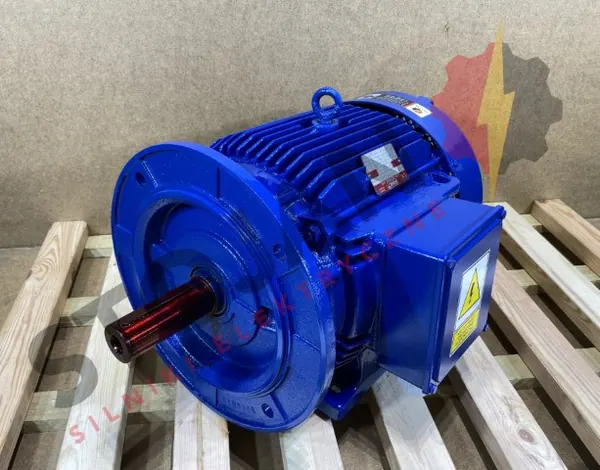 Silnik elektryczny 18,5kW 2920obr. 3fazowy - zdjęcie 1
